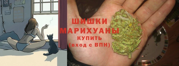 гашик Нефтегорск