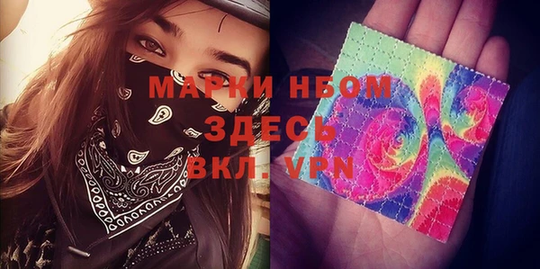 стаф Алексин