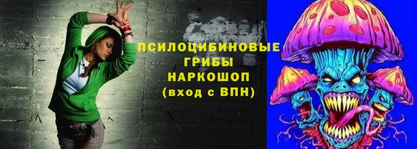 стаф Алексин