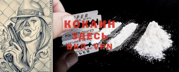 стаф Алексин