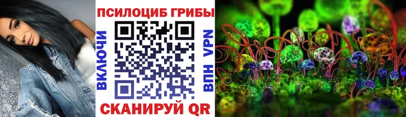 ссылка на мегу зеркало  дарнет шоп  Пикалёво  Псилоцибиновые грибы Cubensis 