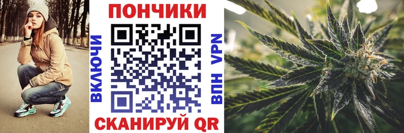 где можно купить   Пикалёво  Каннабис гибрид 